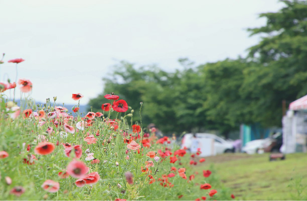 万倍の里、住まいる万倍では月に１度お出かけをします。普段行かない場所へ行き、外の空気を吸って、気分転換をします。スタッフもたのしみにていたり・・・
